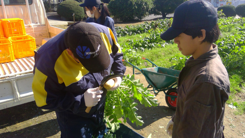 WIN_20251030_11_01_09_Pro