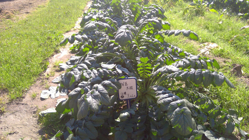 WIN_20251030_11_02_06_Pro