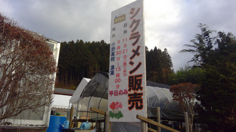 WIN_20251121_09_07_13_Pro