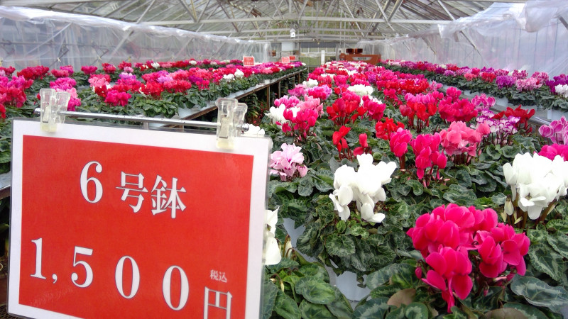 WIN_20251121_09_21_05_Pro