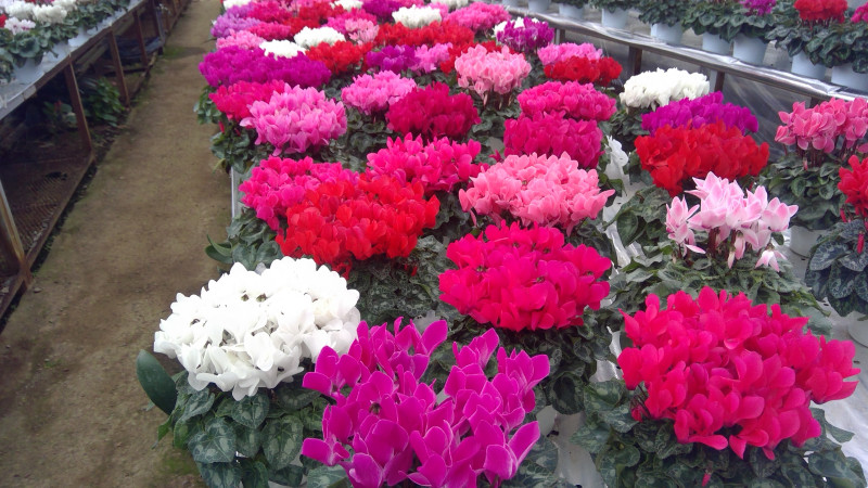 WIN_20251121_09_15_37_Pro