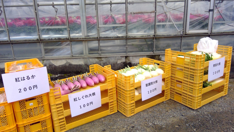 WIN_20251121_09_22_29_Pro