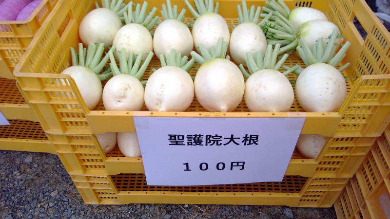 WIN_20251121_09_22_37_Pro