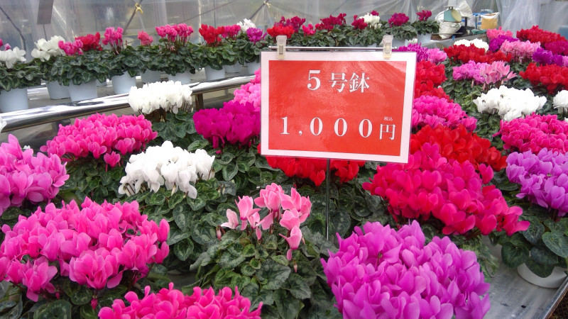 WIN_20251121_09_20_33_Pro